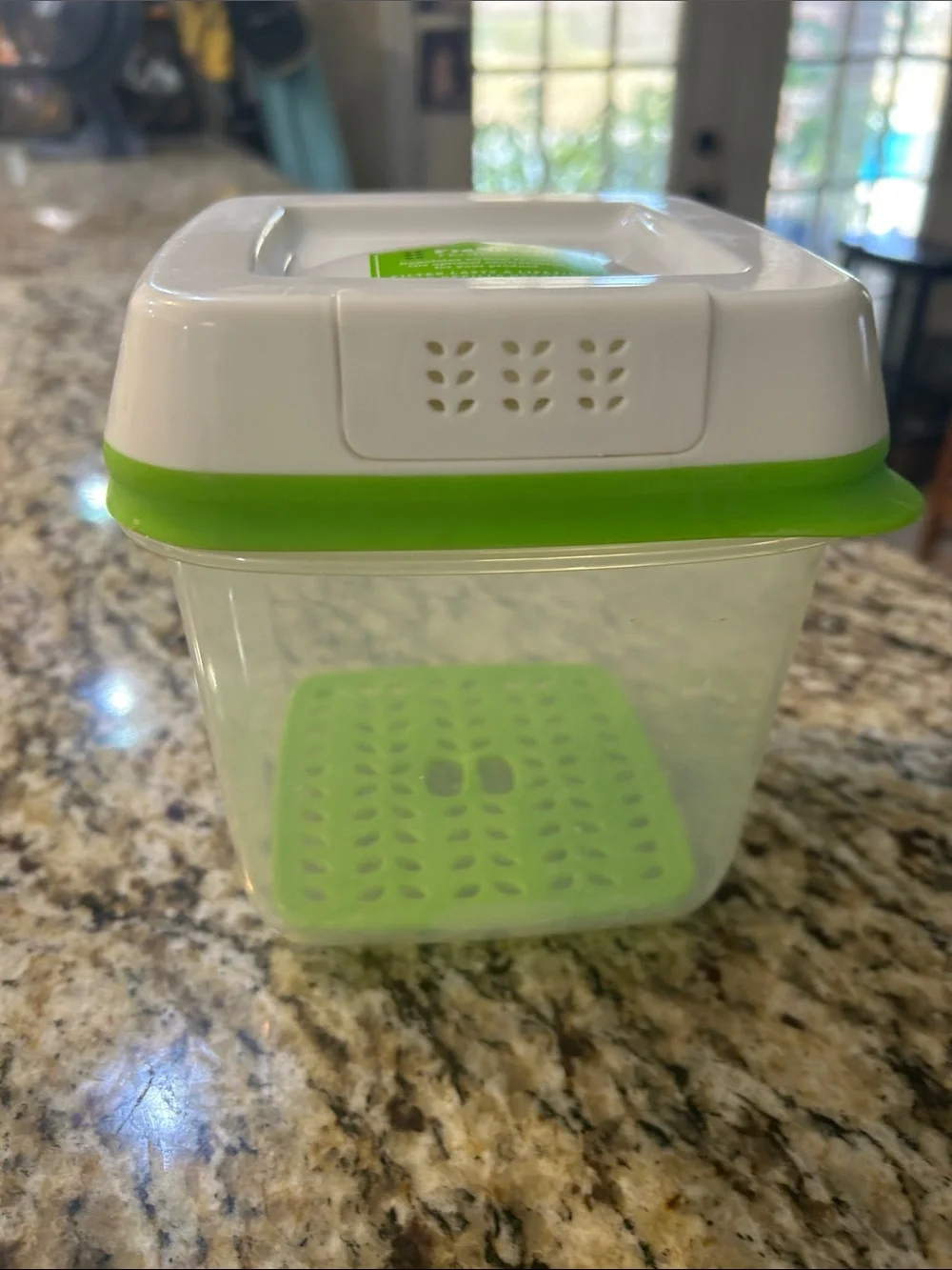Rubbermaid Clear Food Storage Container with White and Lime Green Lid
